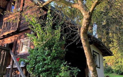 Reserl: Plant, Building, Tree, Green, Branch, Window, Botany, Flowerpot, House, Stairs