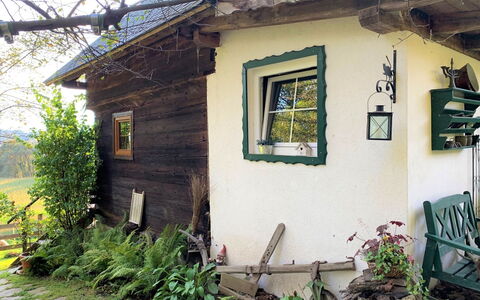 Reserl: Plant, Building, Window, Property, Leaf, Green, Wood, Vegetation, Yellow, Cottage