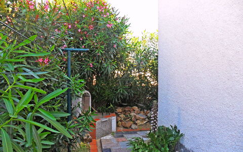 Josiane: Plant, Flower, Leaf, Grass, Rectangle, Natural Landscape, Groundcover, Shrub, Landscape, Terrestrial Plant