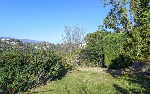 Agora: Vegetation, Natural Landscape, Nature, Tree, Property, Natural Environment, Sky, Nature Reserve, Grass, Wilderness