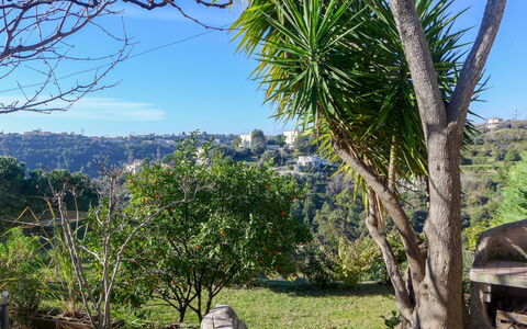 Agora: Vegetation, Tree, Nature, Natural Environment, Property, Wilderness, Sky, Plant Community, Botany, Biome