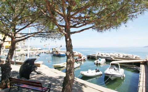 Pinka: Water Transportation, Tree, Waterway, Water, Marina, Boat, Woody Plant, Tourism, Vacation, Vehicle