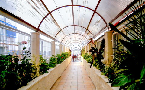 Las Damas: Walkway, Botany, Building, Symmetry, Architecture, Plant, Photography, Garden