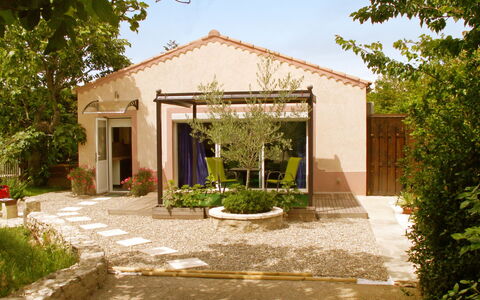 Haider: Plant, Sky, Door, Shade, Building, Architecture, Land Lot, Tree, Residential Area, Grass