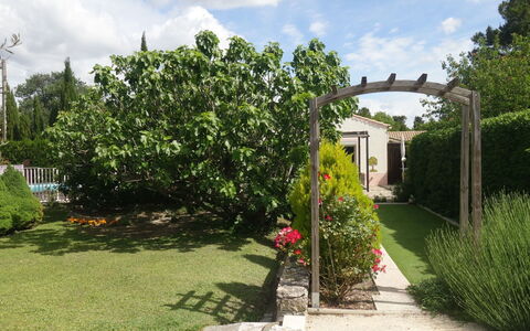 Haider: Cloud, Plant, Sky, Plant Community, Building, Tree, Window, House, Land Lot, Hedge