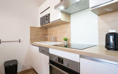 Accommodation:&nbsp;Les Louvans 111.2