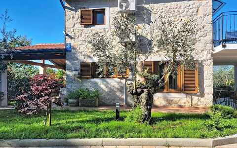 Marinko: Building, Wall, House, Residential Area, Home, Facade, Architecture, Shrub, Door, Cottage