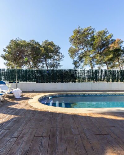 Gaviota 5