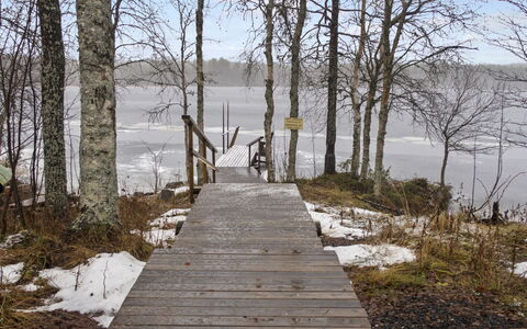Suopursu: Wood, Branch, Natural Landscape, Bank, Boardwalk, Twig, Dock, Trunk, Lake, Walkway