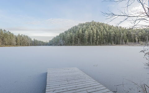 Viipusjärvi 10: Water, Natural Environment, Natural Landscape, Bank, Reflection, Wilderness, Lake, Forest, Larch, Reservoir