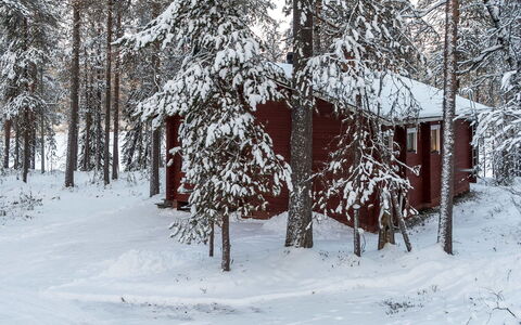 Viipusjärvi 11: Snow, Winter, Branch, Wood, Cottage, Twig, Freezing, Trunk, Forest