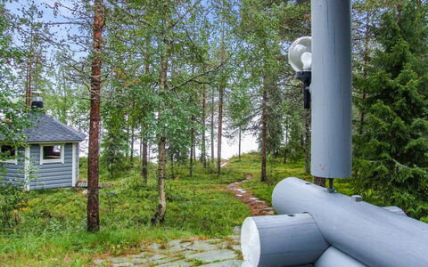 Kujalan Lomat 1: Tree, Forest, Woodland, Grove, Evergreen, Larch, Pine Family