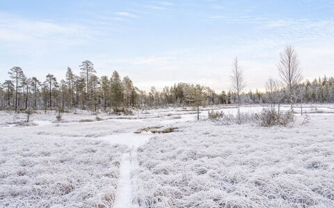 Pajalan Honka: Wood, Snow, Cottage, Winter, Roof, Home, Freezing, Log Cabin, Siding, Slope