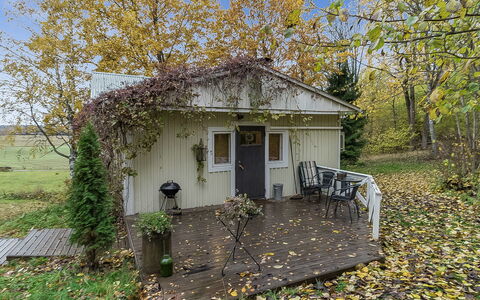 Päivärinne: Grass, House, Cottage, Land Lot, Home, Estate, Lawn, Siding, Farmhouse, Porch