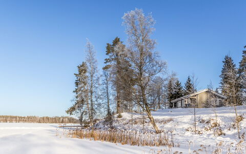 Iltarusko: Blue, Branch, Tree, Winter, Snow, Twig, Landscape, Freezing, Cottage, Morning