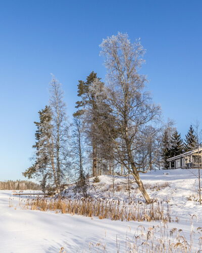 Iltarusko