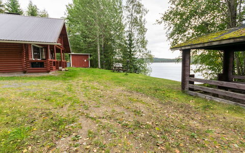 Haaparanta: Wood, Cottage, Log Cabin, Forest, Shed, Garden Buildings, Larch, Woodland, Wood Stain