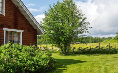 Ranta-Lemettilä: Green, Leaf, Shrub, Landscape, Land Lot, Cottage, Home, Garden, Spring, Groundcover