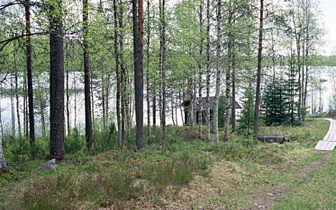 Mustikkainen: Home, Cottage, Roof, Estate, Shade, Farmhouse, Lawn, Landscaping, Garden, Yard