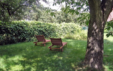 Pękowice: Nature, Green, Natural Landscape, Tree, Grass, Nature Reserve, Furniture, Bench, Botany, Leaf