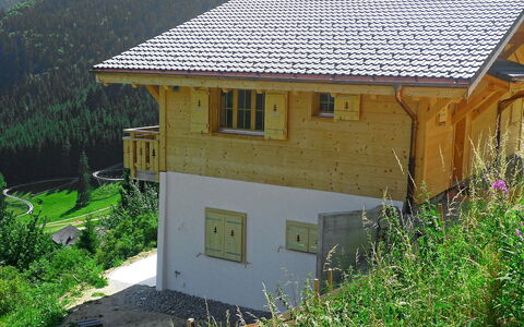 Chalet la Poya: Plant, Building, Window, Green, Land Lot, House, Cottage, Grass, Tree, Wood