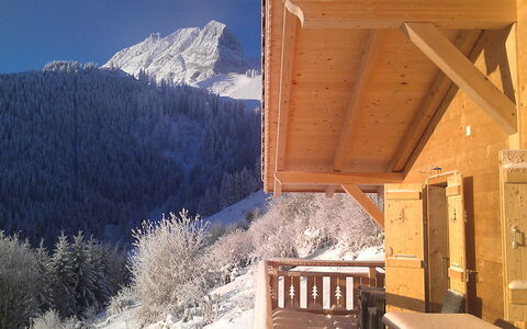 Chalet la Poya: Sky, Property, Building, Mountain, Snow, Wood, House, Plant, Tree, Slope