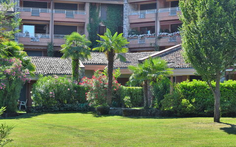 Porto Valtravaglia 200: Plant, Building, Window, Tree, Urban Design, Condominium, Arecales, Leisure, Neighbourhood, Grass
