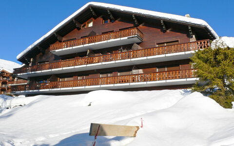 Diure 0113: Sky, Property, Snow, Slope, Building, Tree, Wood, House, Leisure, Recreation