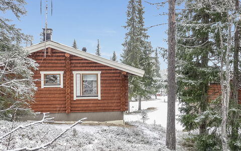 Oloskammi 5: Wood, Snow, Winter, Cottage, Freezing, Home, Log Cabin, Larch, Siding