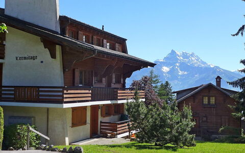 Villars 996: Plant, Sky, Building, Window, Mountain, House, Tree, Land Lot, Wood, Neighbourhood