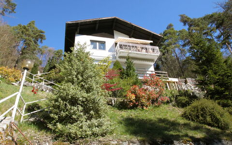 Rosemarie: Plant, Sky, Building, Window, House, Tree, Land Lot, Cottage, Grass, Residential Area