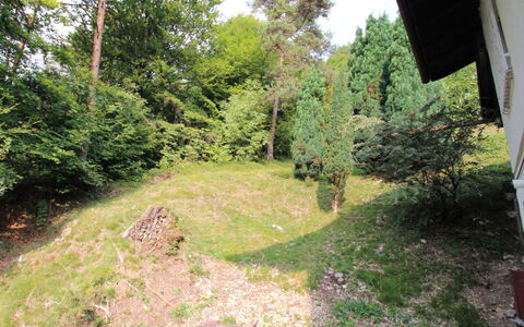 Rosemarie: Property, Vegetation, Green, Tree, Grass, Natural Environment, Nature Reserve, Biome, Forest, Land Lot