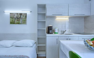 Accommodation:&nbsp;Nika 109.9