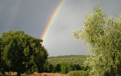 Poggio Due Querce
