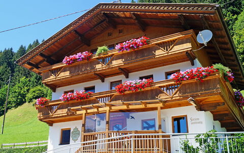 Gruber: Building, Plant, Window, Property, Sky, House, Temple, Tree, Wood