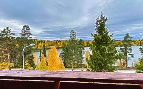 Länsirinne C 12: Larch, Evergreen, Evening, Pine Family