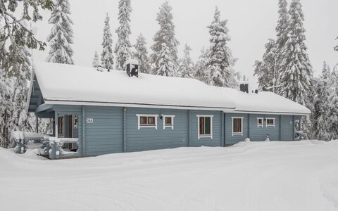 Uolevintie 39B: Wood, Cottage, Log Cabin, Forest, Shed, Garden Buildings, Larch, Woodland, Wood Stain