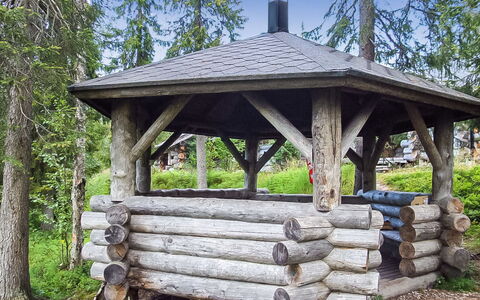 Seitsemän Savua 6: Wood, Cottage, Log Cabin, Forest, Shed, Garden Buildings, Larch, Woodland, Wood Stain
