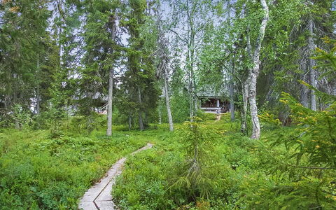Seitsemän Savua 6: Wood, Cottage, Log Cabin, Forest, Shed, Garden Buildings, Larch, Woodland, Wood Stain