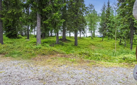Seitsemän Savua 6: Wood, Cottage, Log Cabin, Forest, Shed, Garden Buildings, Larch, Woodland, Wood Stain