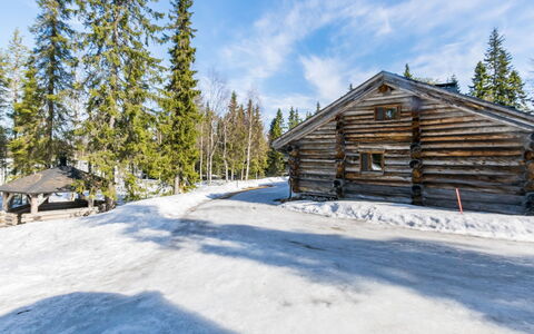 Seitsemän Savua 3: Snow, Wood, Winter, Branch, Landscape, Cottage, Freezing, Roof, Log Cabin, Larch