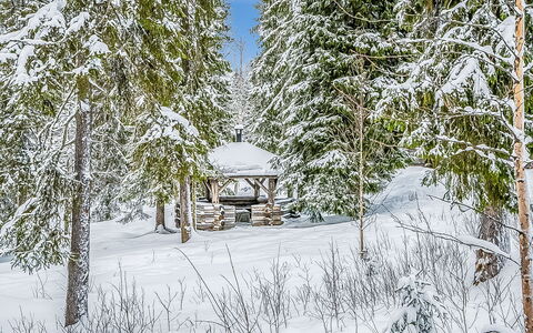 Seitsemän Savua 3: Snow, Branch, Winter, Tree, Natural Environment, Wood, Freezing, Twig, Forest