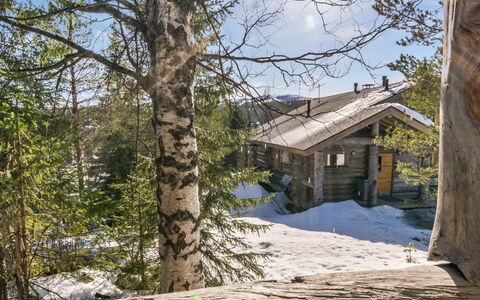 Pihlakieppi 2: Wood, Branch, House, Cottage, Architecture, Roof, Home, Log Cabin, Siding, Door