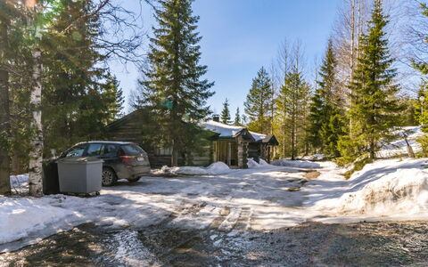 Pihlakieppi 2: Snow, Tree, Branch, Natural Environment, Winter, Freezing, Cottage, Larch, Slope