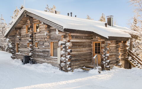 Rukajoiku 1: Wood, Cottage, Log Cabin, Forest, Shed, Garden Buildings, Larch, Woodland, Wood Stain