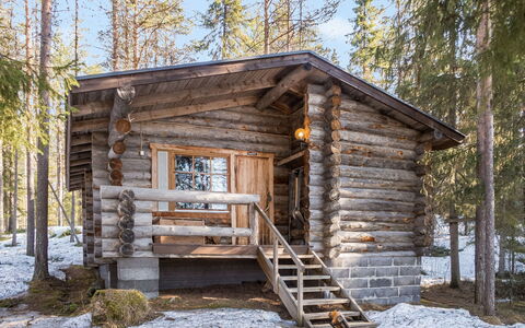 Retkietappi Honkapirtti: Wood, Cottage, Log Cabin, Forest, Shed, Garden Buildings, Larch, Woodland, Wood Stain