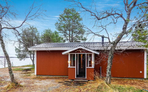 Mellaniemi: Wood, Cottage, Log Cabin, Forest, Shed, Garden Buildings, Larch, Woodland, Wood Stain