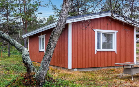 Mellaniemi: Wood, Cottage, Log Cabin, Forest, Shed, Garden Buildings, Larch, Woodland, Wood Stain