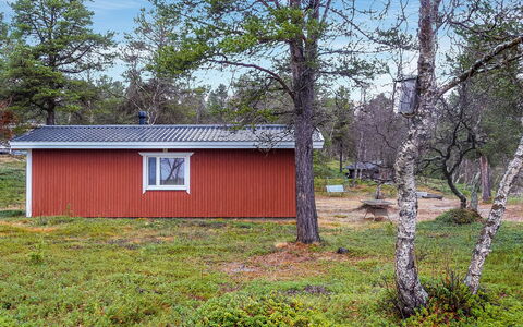Mellaniemi: Wood, Cottage, Log Cabin, Forest, Shed, Garden Buildings, Larch, Woodland, Wood Stain