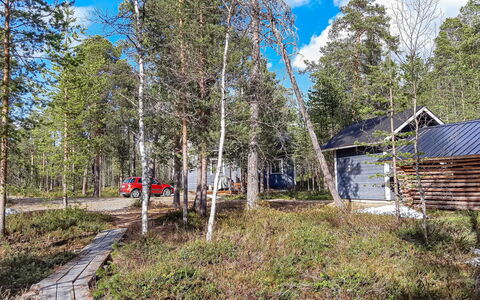 Hoviranta: Tree, Wood, Plant Community, Land Lot, Woodland, Forest, Trunk, Cottage, Grove, Shed